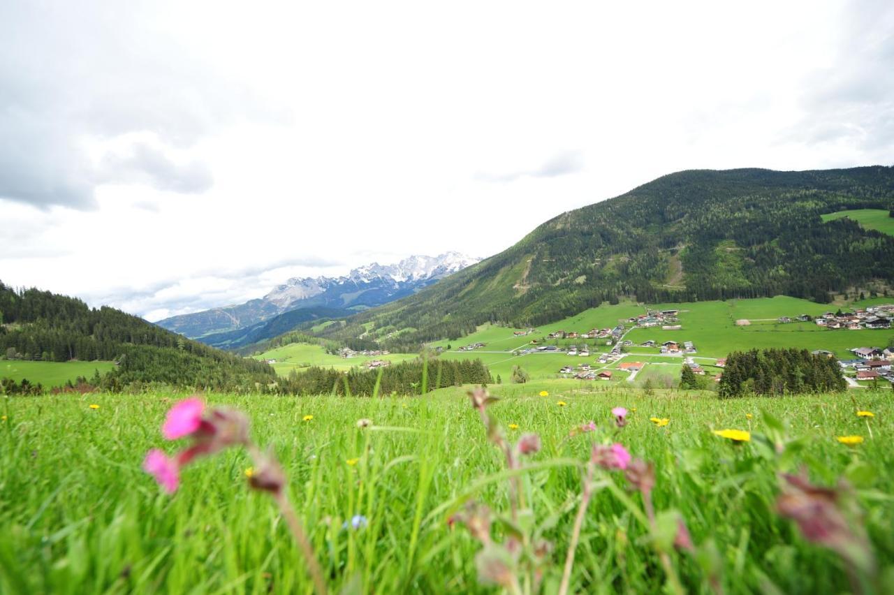 Buttermilchalm Bed & Breakfast Sankt Martin am Tennengebirge Exterior photo